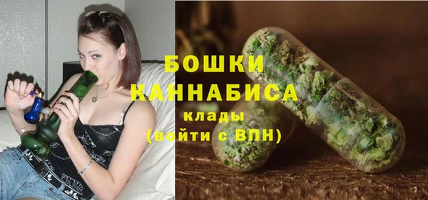 дживик Иннополис
