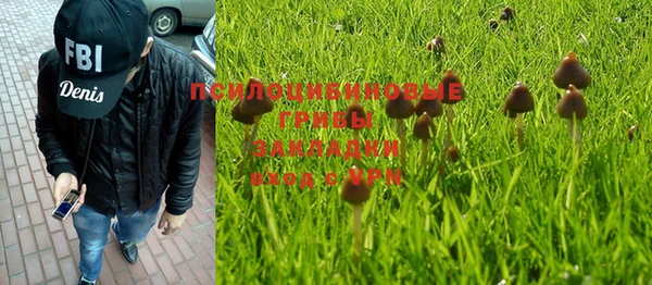 дживик Алексеевка