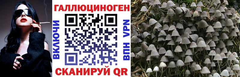 где можно купить наркотик  Духовщина  Псилоцибиновые грибы мицелий 